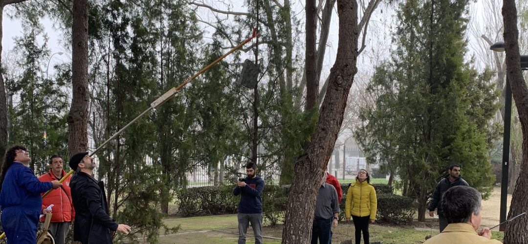 Las cajas nido serán instaladas por todo el municipio