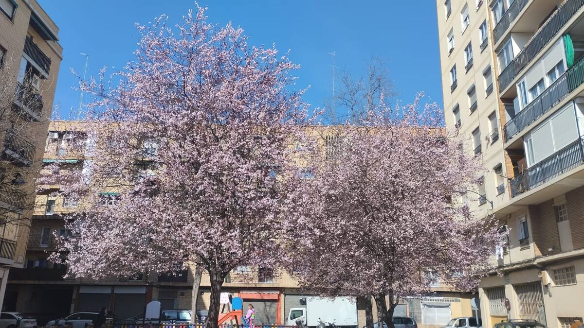 HXH primavera con Luis Ignacio Figols (11/03/24)