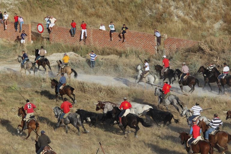 Entrada de un encierro de Cuéllar en la bajada de El Embudo