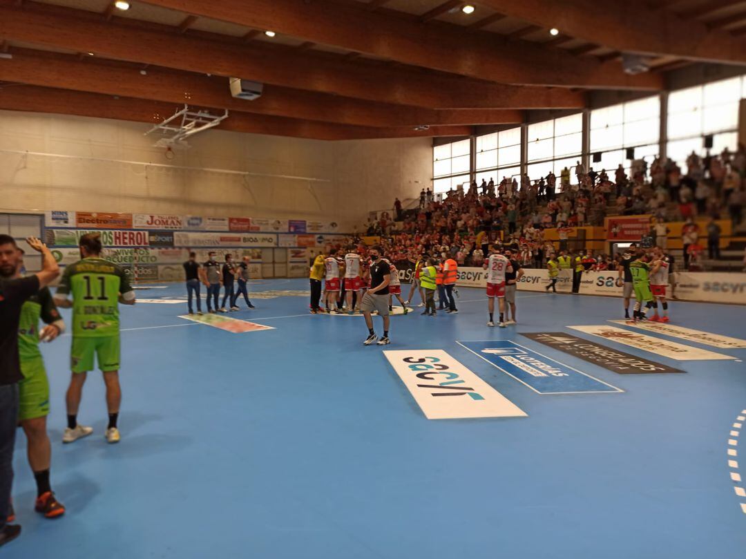 Balonmano Nava seguirá en la liga Asobal