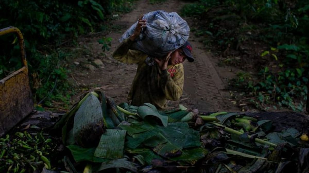Santi Donaire, fotoperiodista: "La beca ha sido una auténtica sorpresa"