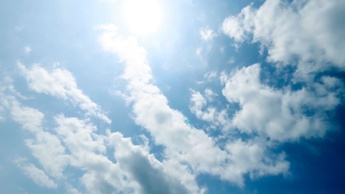 Ellas los martes y ellos los jueves, más en primavera y siempre en luna creciente