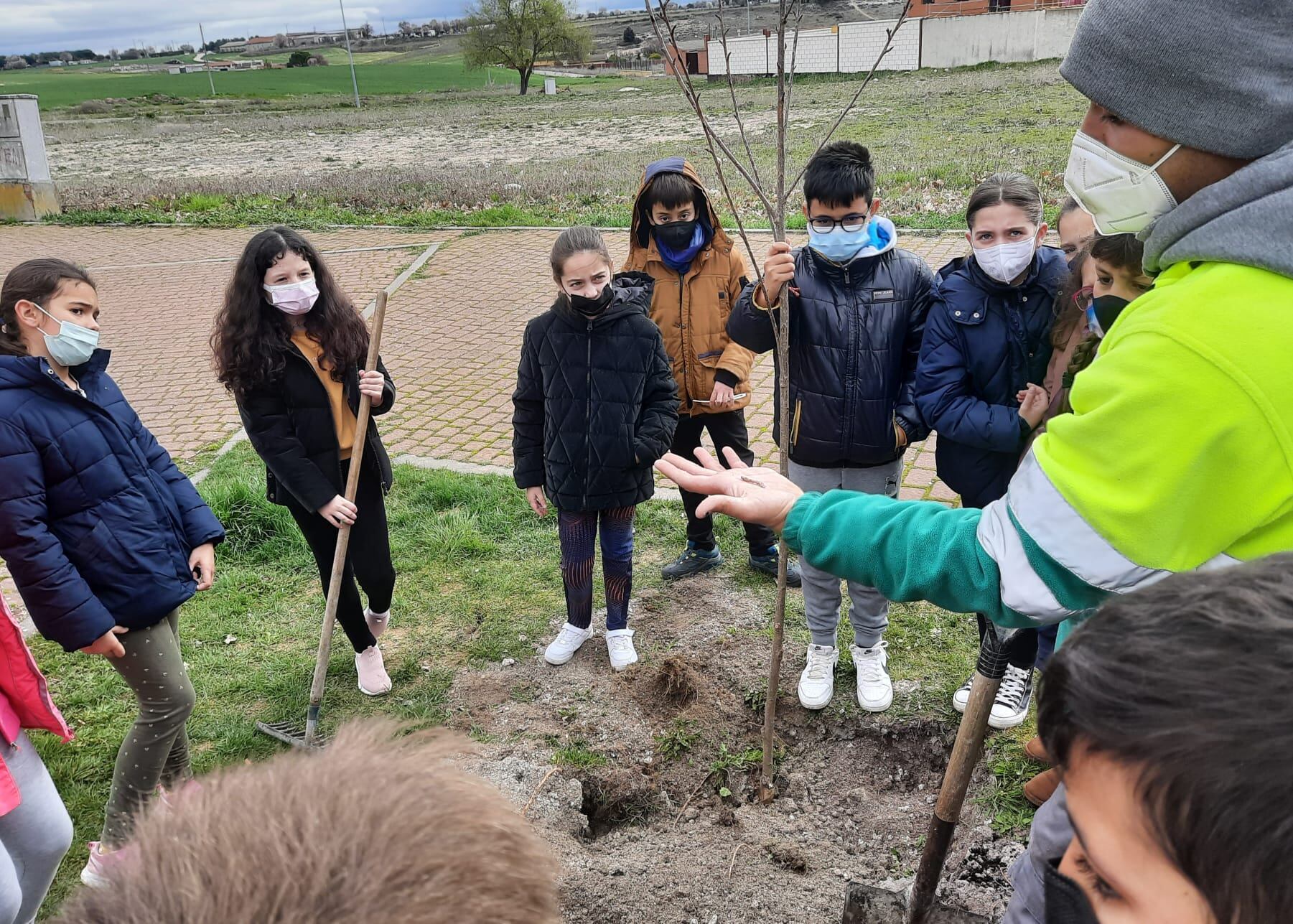 Alumnos del CEIP La Villa, de Cuéllar, observan una lombriz aparecida durante el proceso de plantación