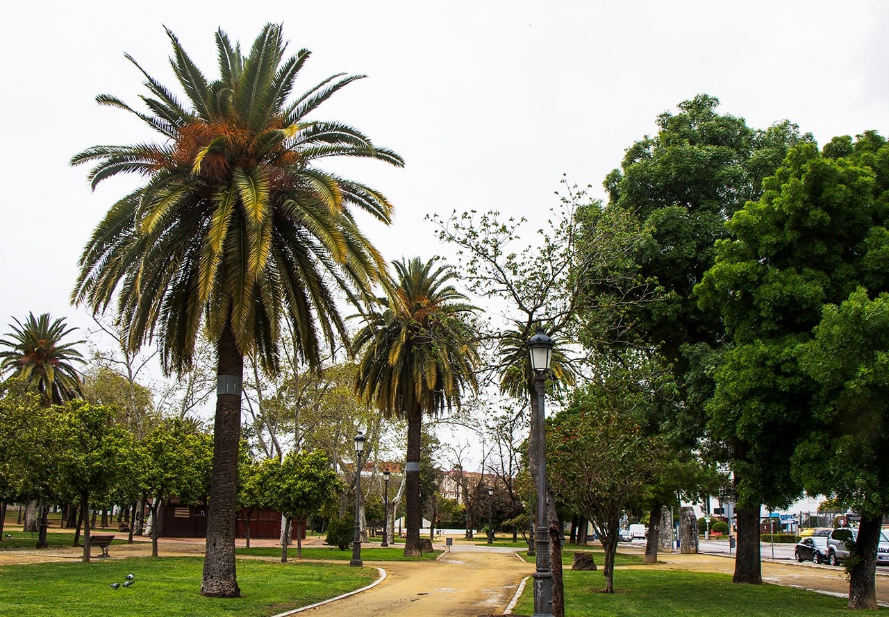 Recorrido por el Retiro Jerez