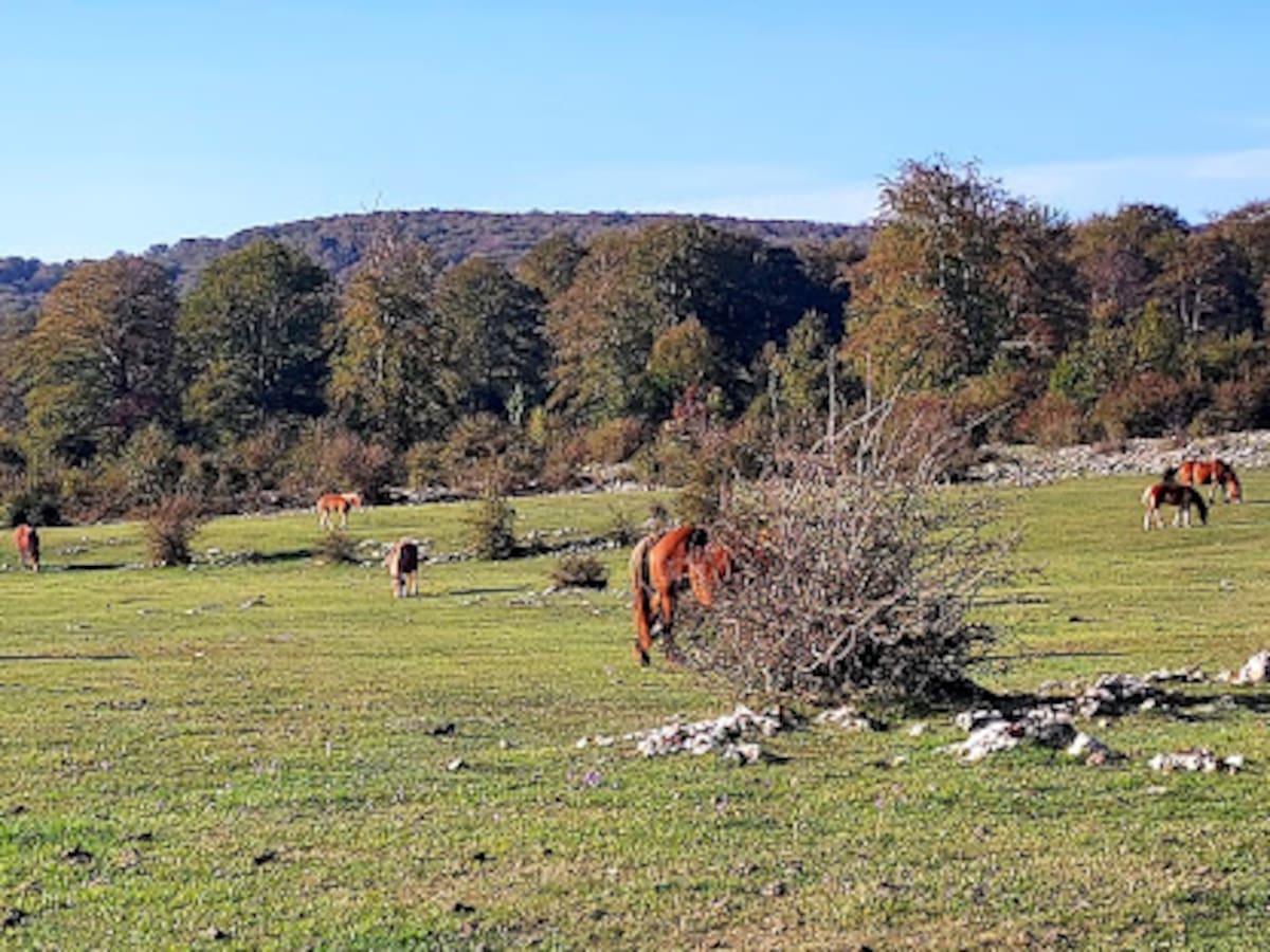 Fallece un hombre de 55 años en Álava en un accidente ocurrido en una granja