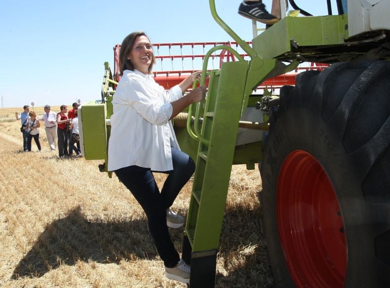 La Consejera de Agricultura de la Junta de Castilla y León, Milagros Marcos, subiendo a una cosechadora