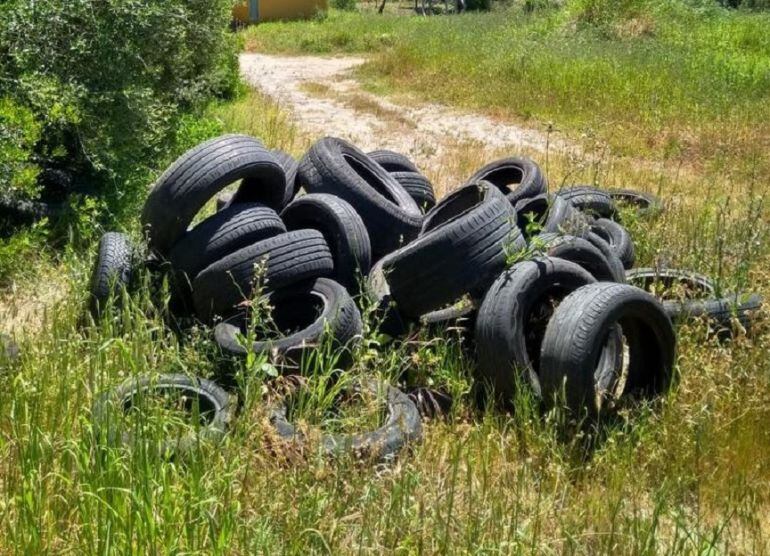 Neumáticos abandonados