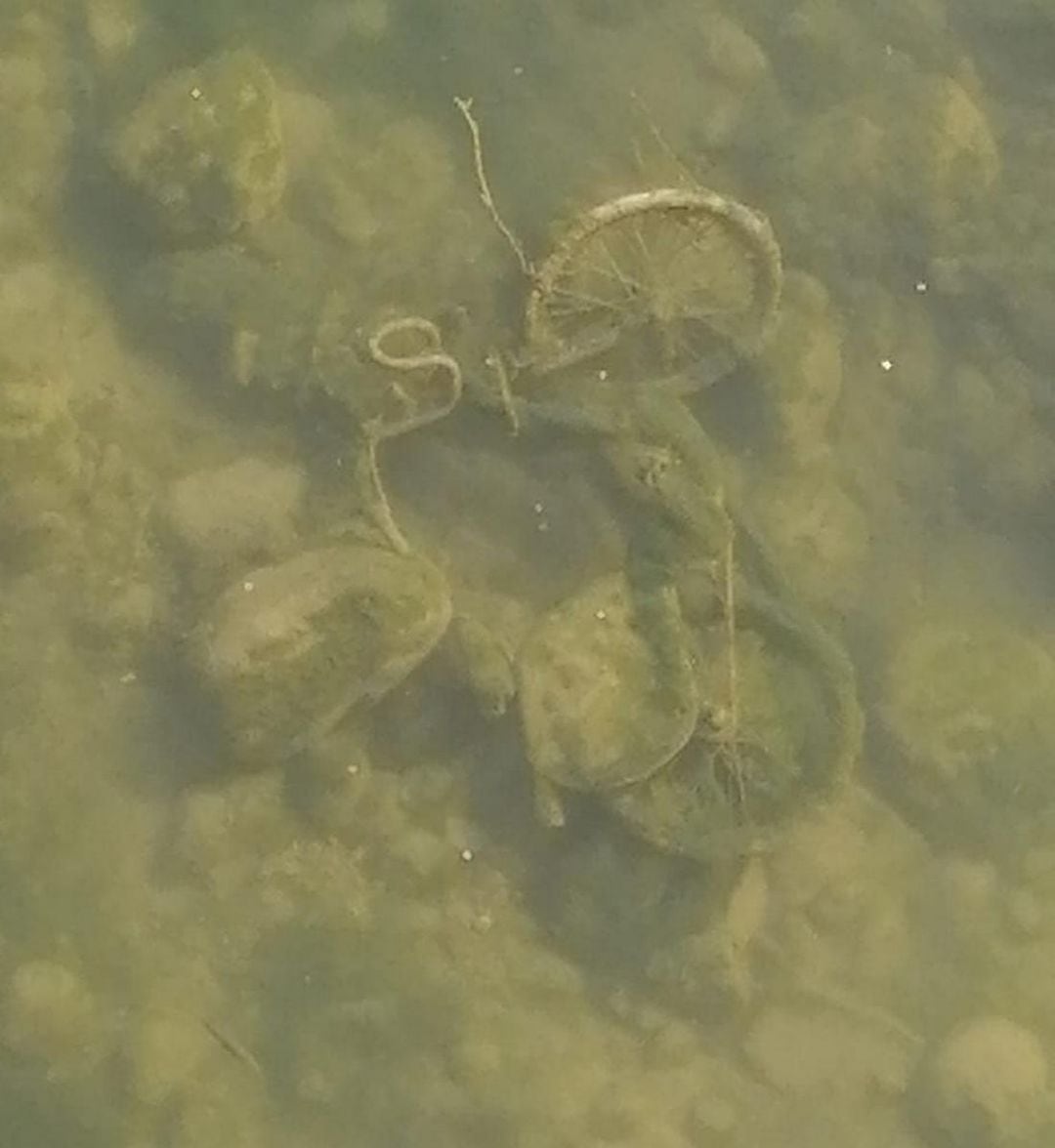 Una de las bicicletas de Saforbici en el fondo del río Serpis 