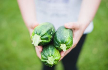 Una dieta rica en verduras ayuda a reducir los niveles de colesterol