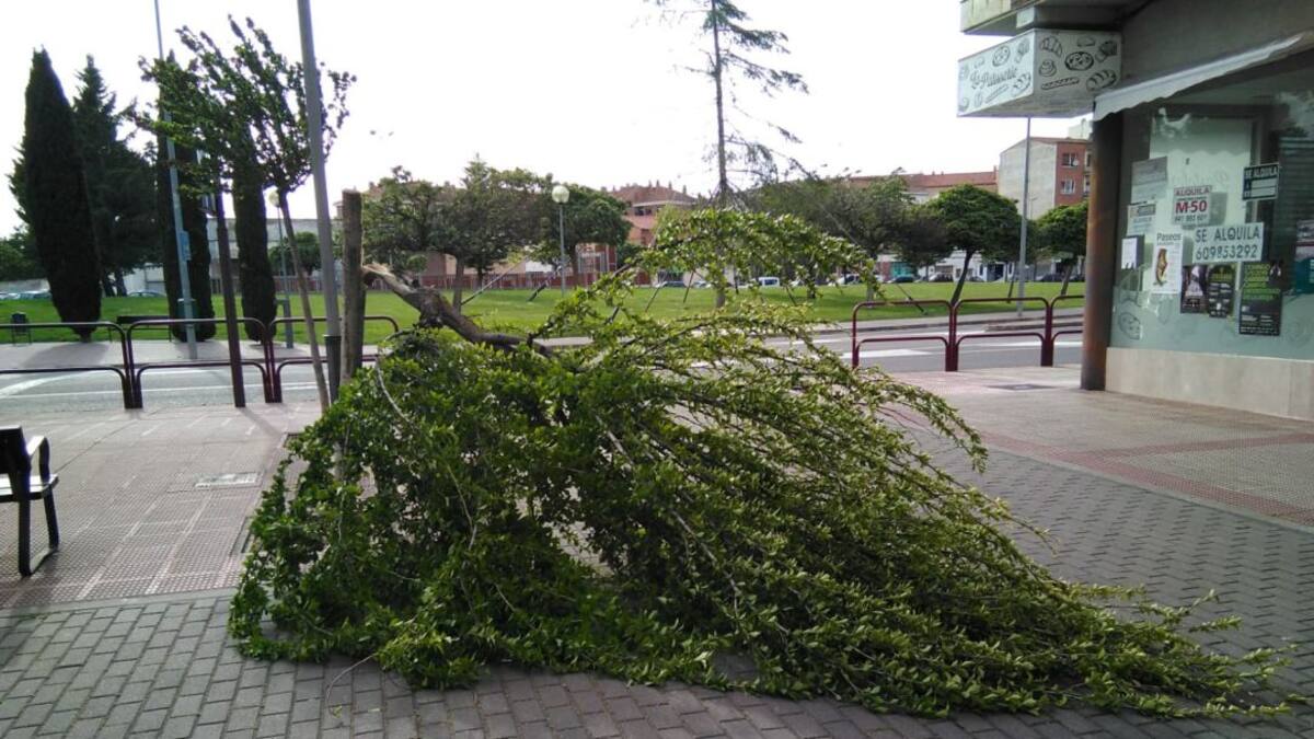 Espacio municipal con el portavoz (13/5/2019)