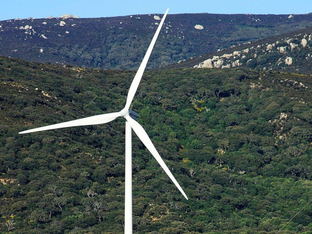 La orfandad del votante verde en España: sin partido potente ni proyecto claro