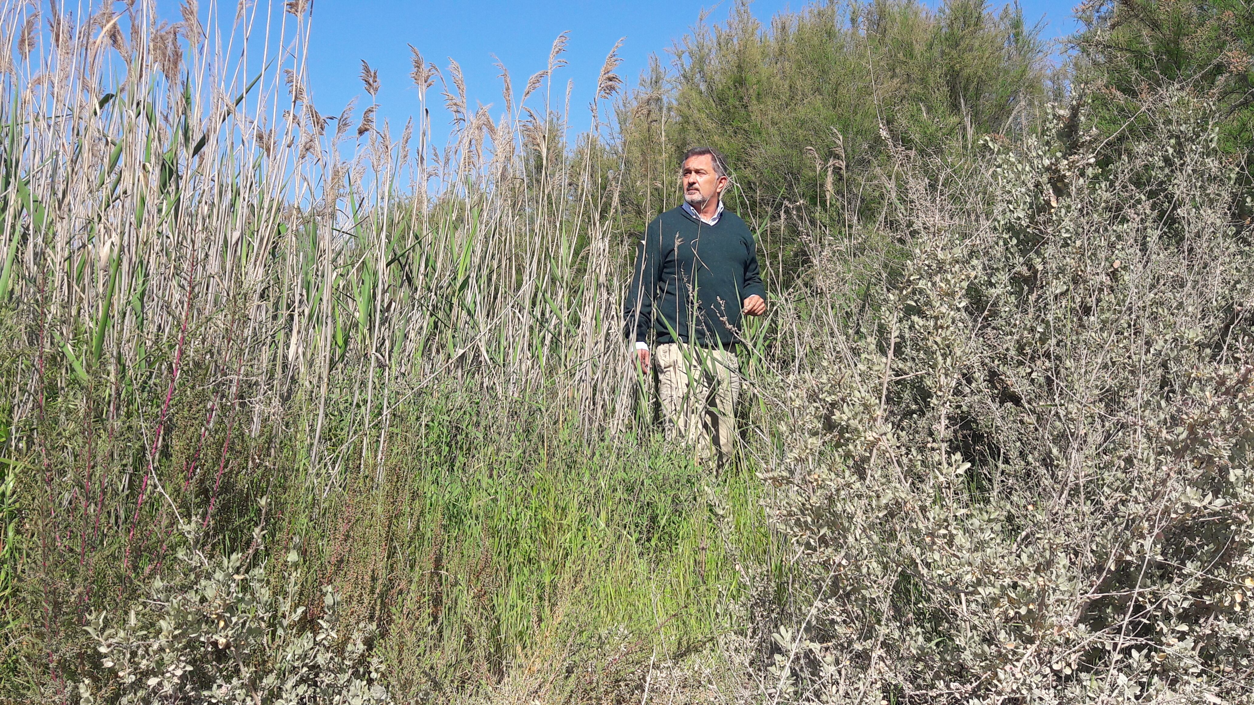 El PP propone aprovechar el periodo entre mayo y agosto para limpiar y desbrozar los cauces de las ramblas en el término municipal de Lorca