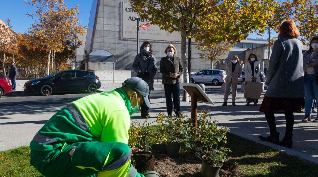 Tres Cantos homenajea a Margarita Salas plantando cuatro ejemplares de rosales con su nombre frente al ayuntamiento