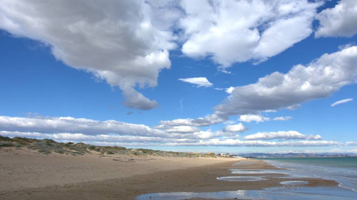 El vicealcalde de València alerta de la salinización de algunas zonas de la Albufera