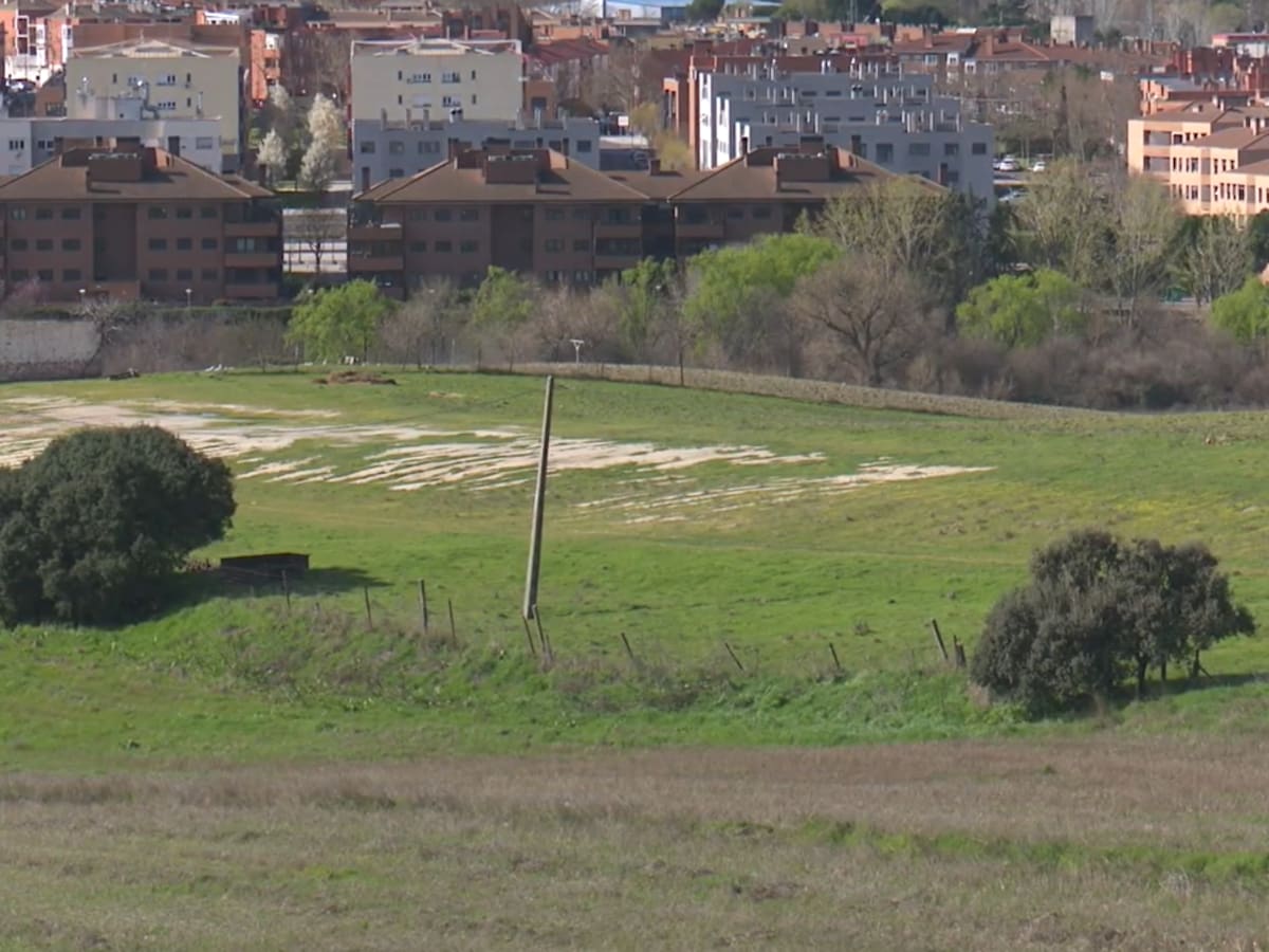 Izquierda Independiente Sanse denuncia el inicio de trabajos en Cerro del Baile “sin responder a las alegaciones”