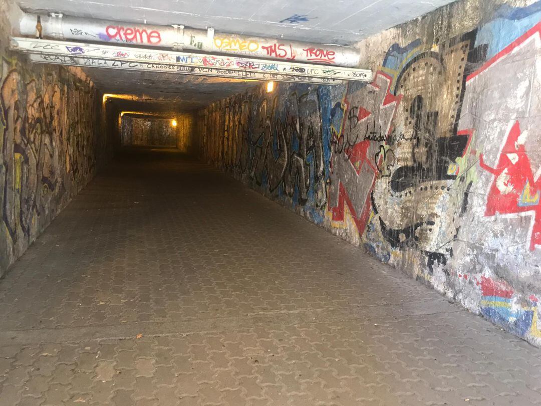 Túnel Navaliegos - La Estación