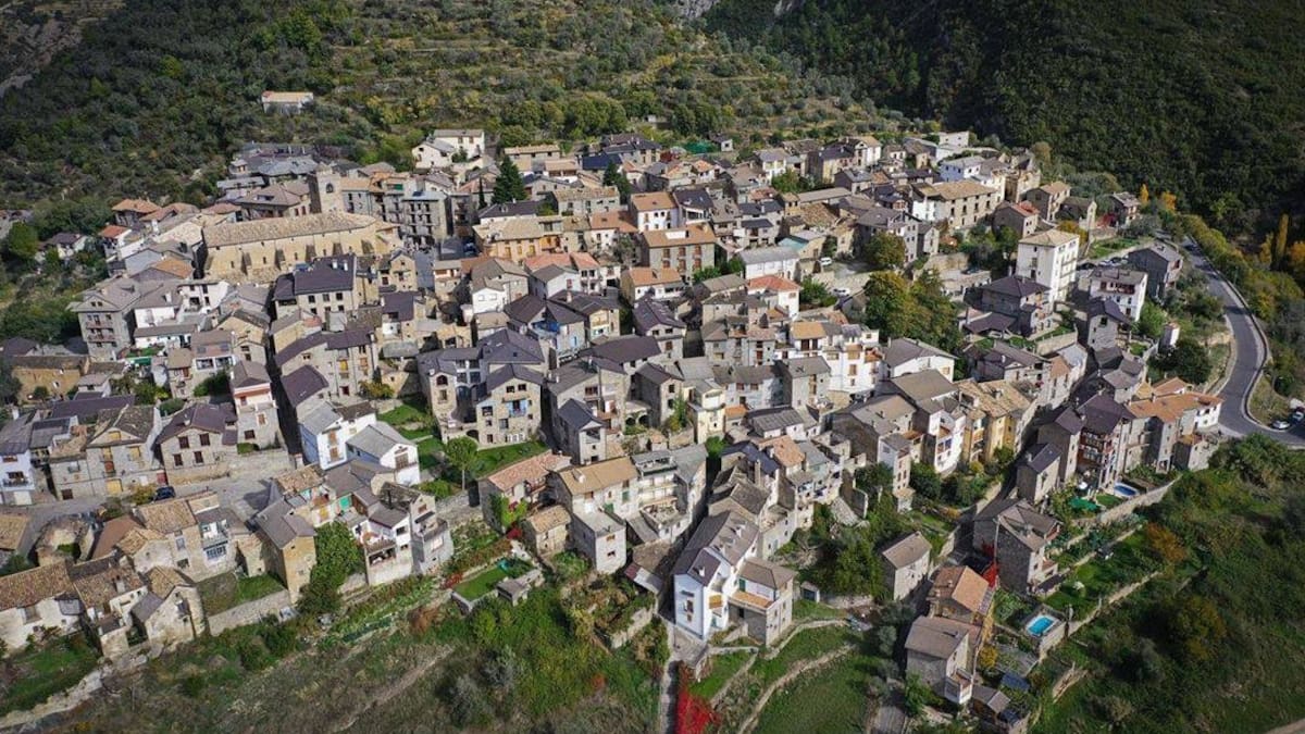 Boltaña celebra la I Jornada del Olivo y el Aceite