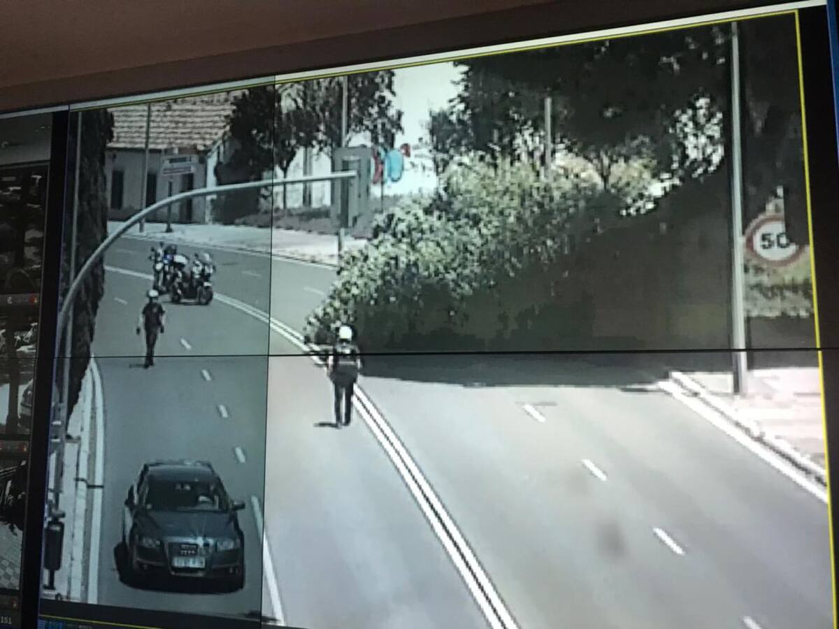 Una gran rama de un olmo centenario cae sobre ronda de La Mata