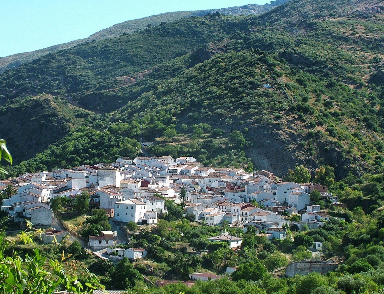 Jimera de Líbar es un municipio de la Serranía de Ronda, en la provincia de Málaga