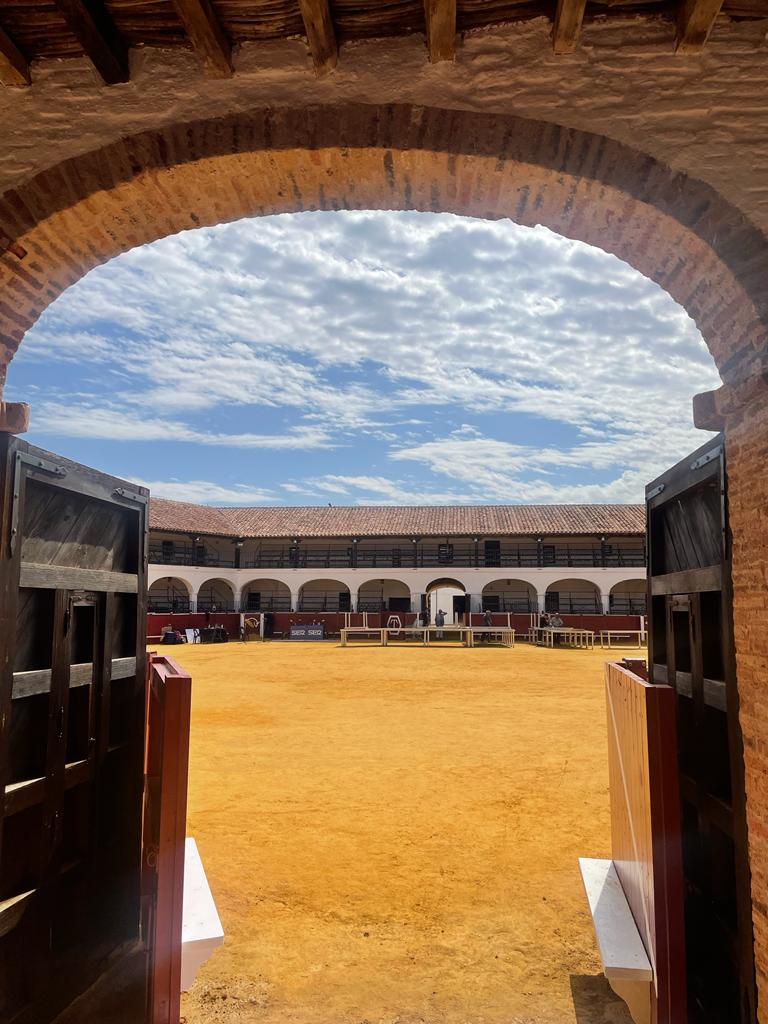 Plaza de toros de Almadén