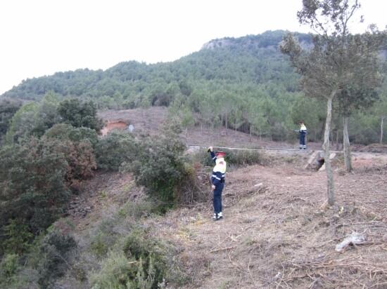 Els Mossos d'Esquadra han analitzat el lloc on s'ha produït l'accident durant diverses hores