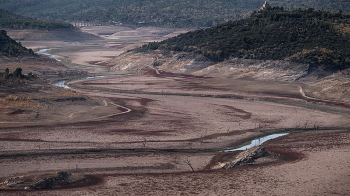 El sector agrícola en España pierde casi el 90% de su siembra "la climatologia de este año ha sido desastrosa"