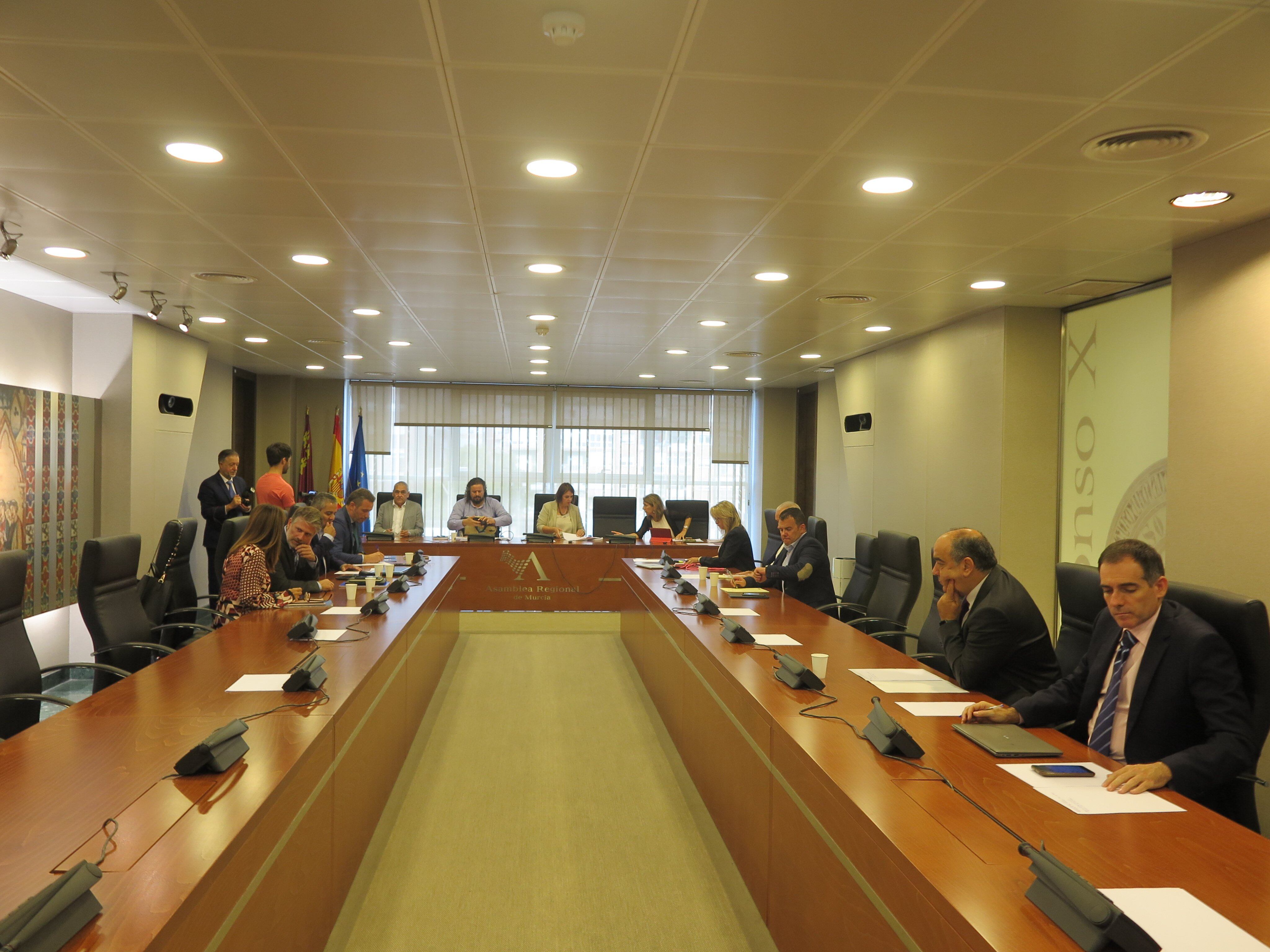 Reunión de la Comisión de Política Territorial con Liarte como nuevo representante del Grupo mixto