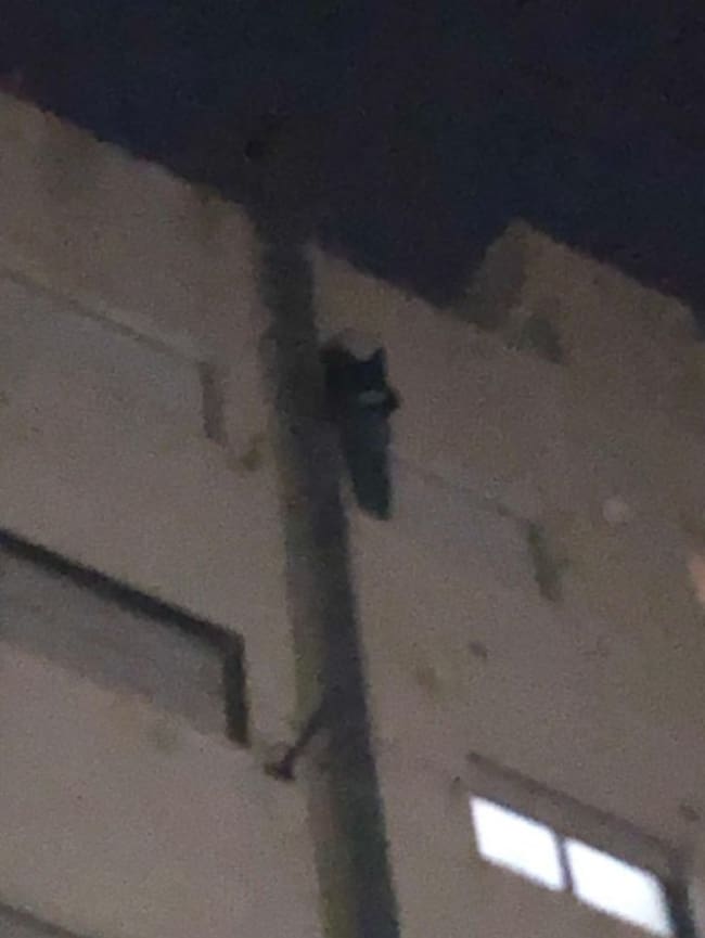 Imagen del joven de 29 años a punto de caer de una séptima planta