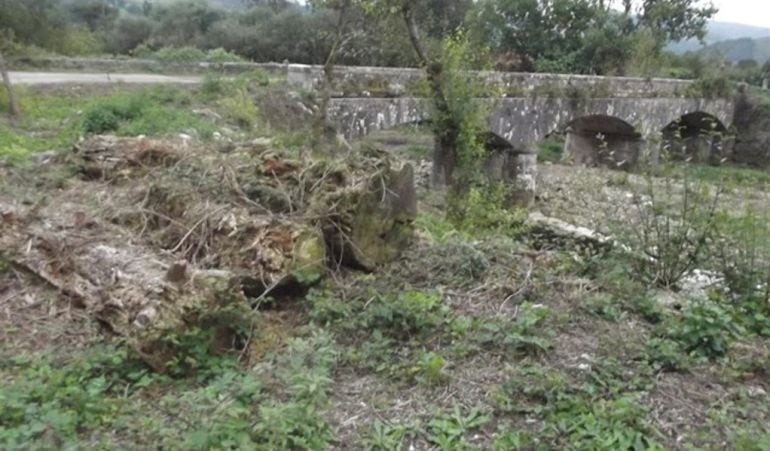 Tala de áboles en Ucieda