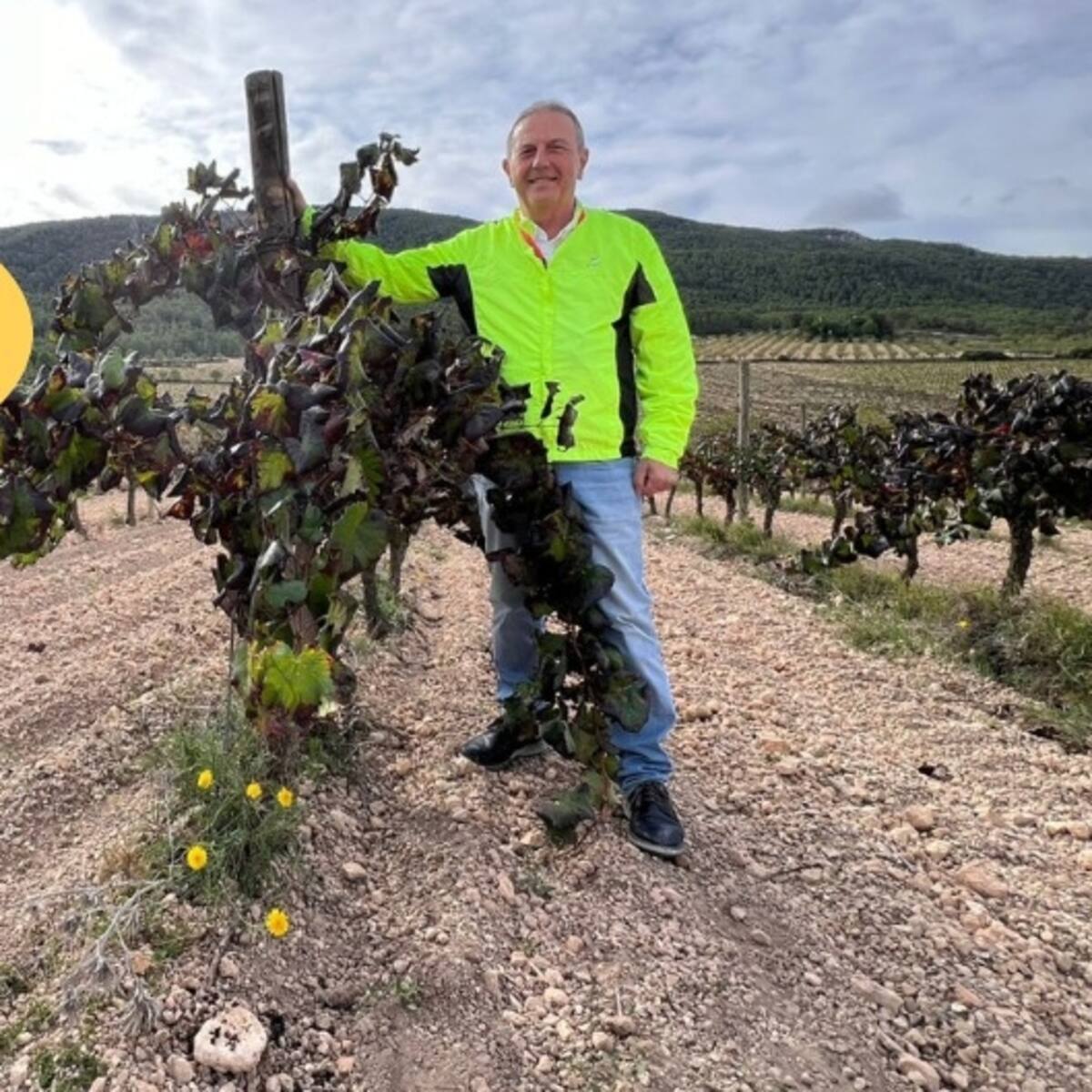 “Viñas y Relatos”, con el enólogo y narrador Rafael Poveda: El arte y la ciencia del vino