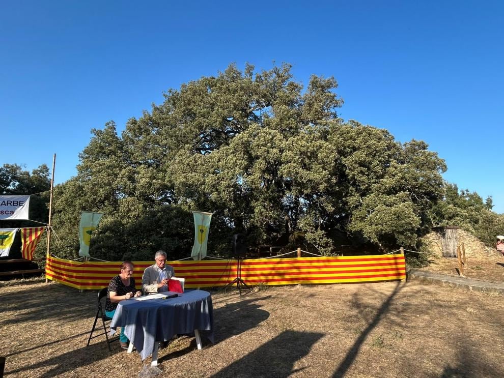 La firma del convenio se ha realizado este viernes en el marco de los actos por el juramento de los Fueros de Sobrarbe. Foto: DGA