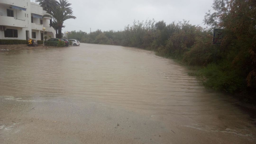 Uno de los caminos de la carretera Les Marines, junto a la playa Punta del Raset, esta mañana. 