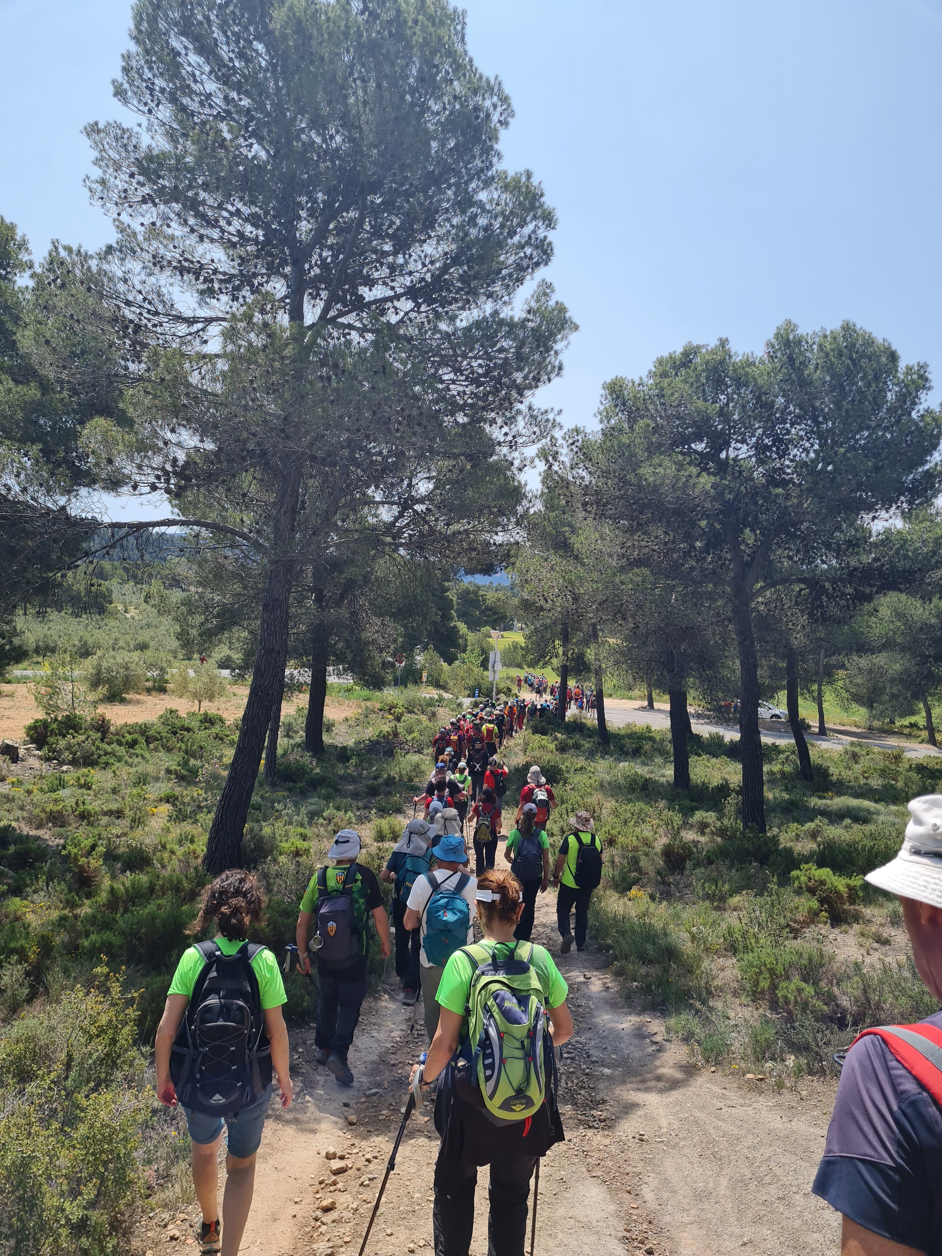 Aviana en la Intercomarcal de Ibi