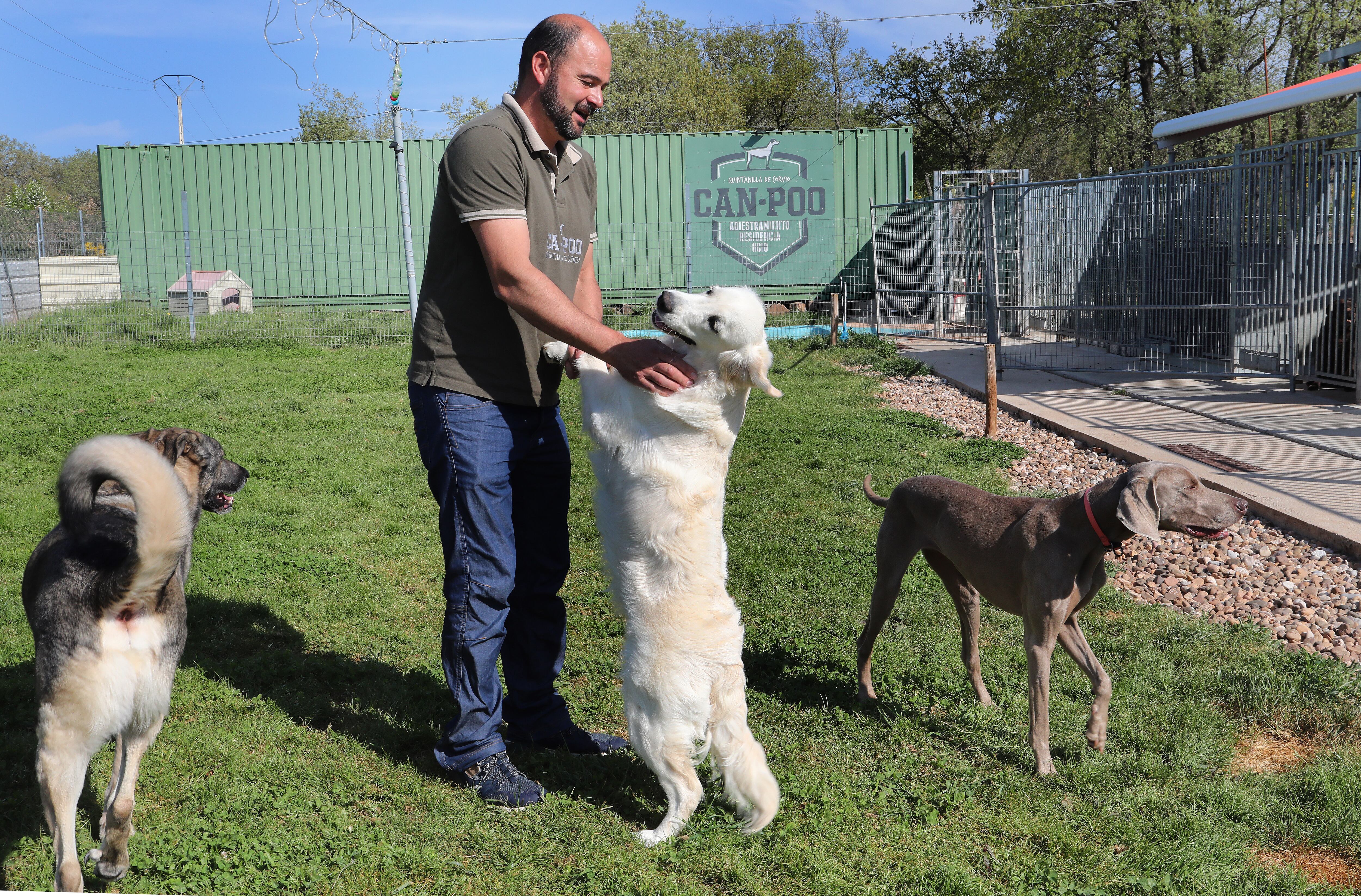 Centro canino Can-poo que funciona como guardería para que los dueños dejen a sus mascotas alojadas mientras se van de vacaciones, en la imagen el dueño del centro, Miguel Ángel Barcenilla, con alguno perros alojados en el centro
