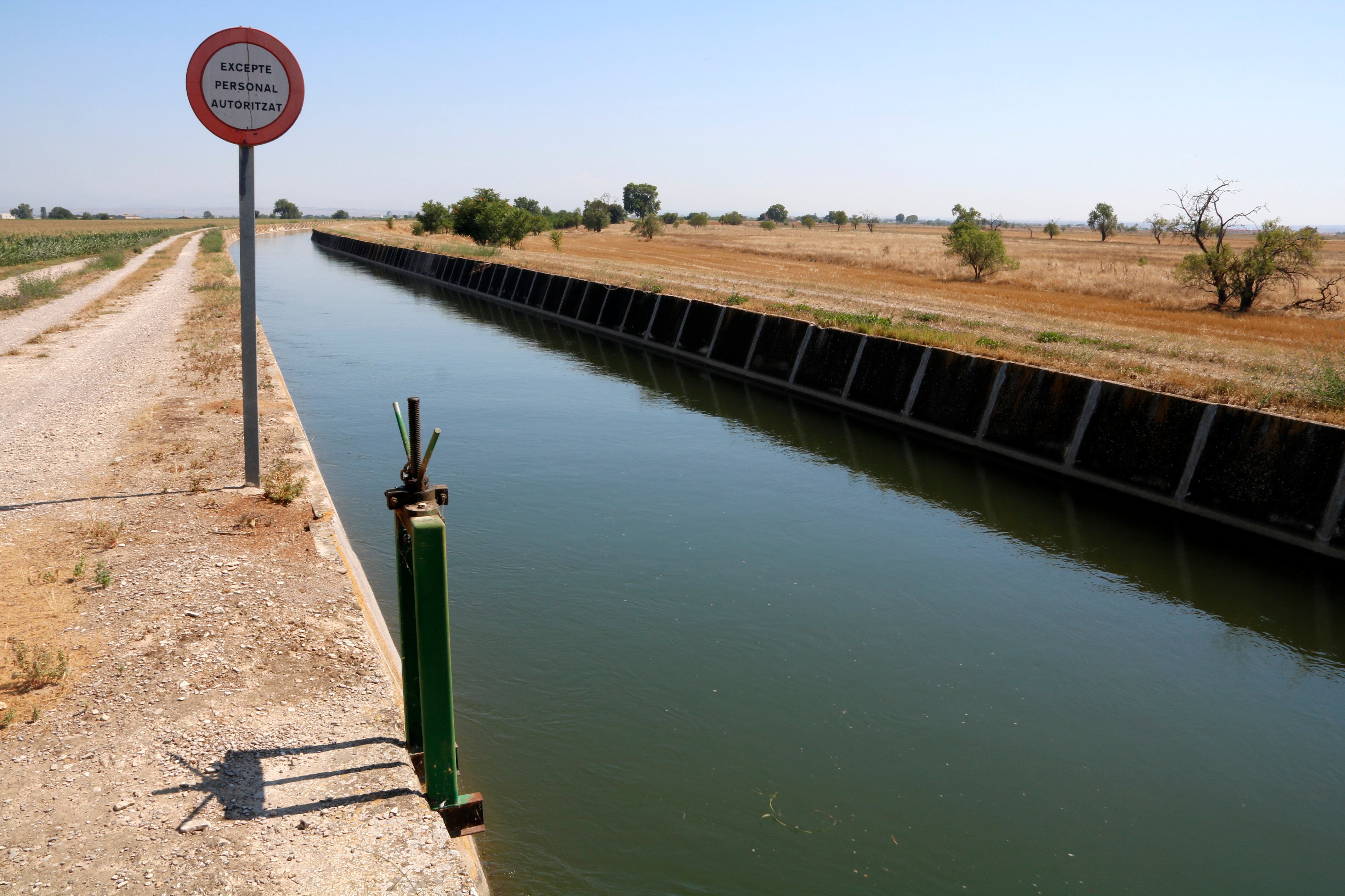 Imatge del canal d'Urgell al seu pas per Vilanova de Bellpuig el juliol passat. A dia d'avui, la imatge és força diferent. Foto: ACN