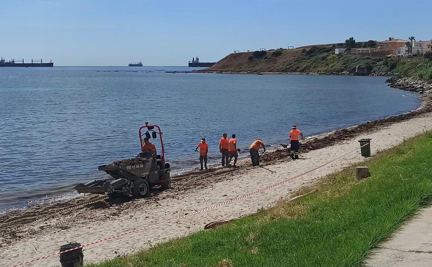Trabajos de recogida en la playa