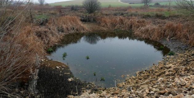 Imagen de archivo, de la zona de los Ojos del Guadiana