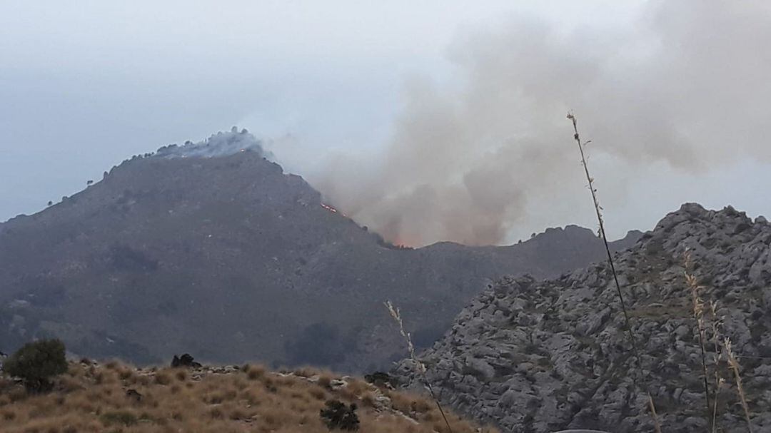 Incendio forestal en la Serra de Tramuntana