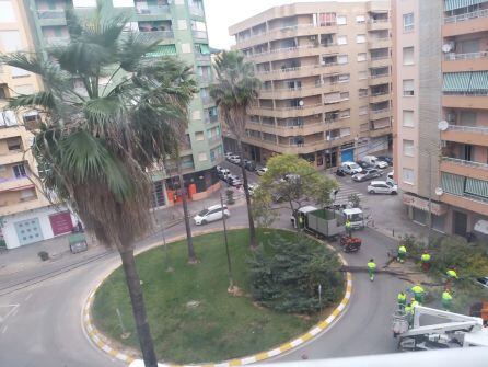Operarios retiran un gran árbol caído por el viento