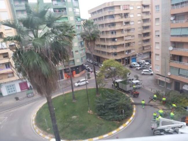 Operarios retiran un gran árbol caído por el viento