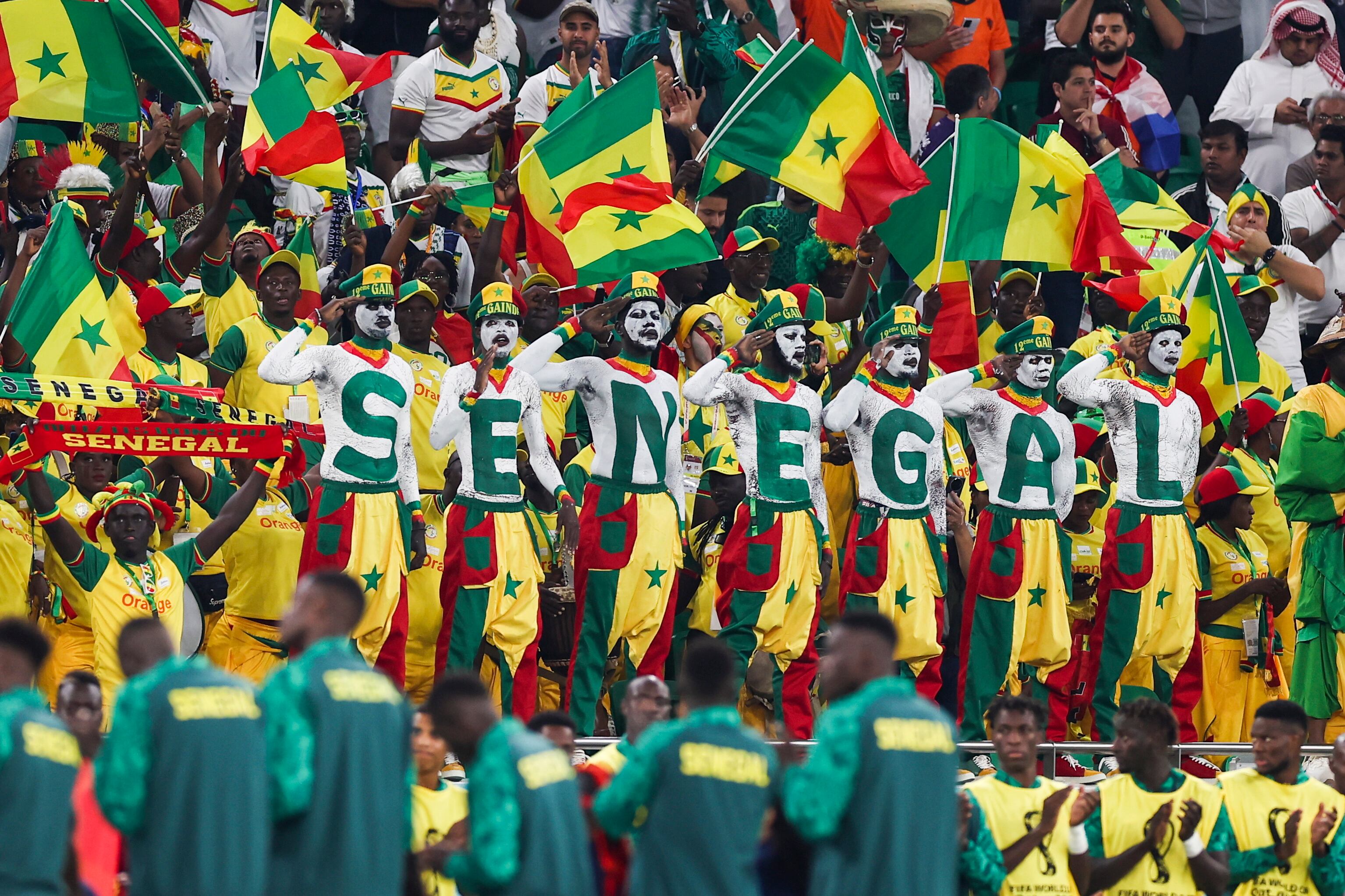 Doha (Qatar), 21/11/2022.- Senegal supporters cheer during the FIFA World Cup 2022 group A soccer match between Senegal and the Netherlands at Al Thumama Stadium in Doha, Qatar, 21 November 2022. (Mundial de Fútbol, Países Bajos; Holanda, Catar) EFE/EPA/JOSE SENA GOULAO
