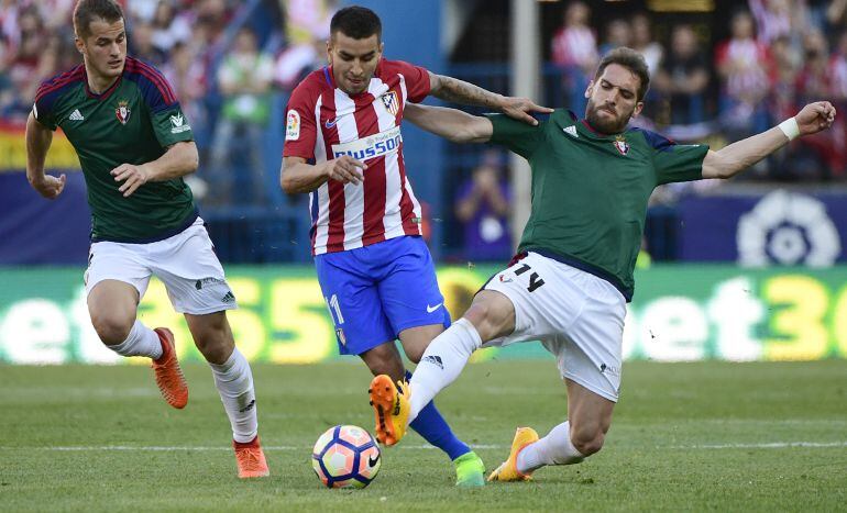 El Atlético y Osasuna se enfrentaron en el Calderón el pasado 15 de abril.