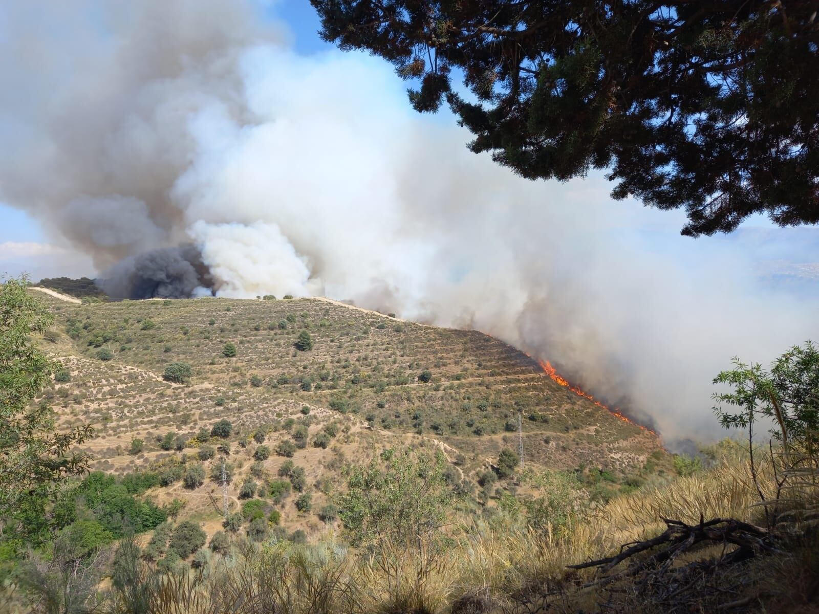 Incendio forestal declarado en Granada.