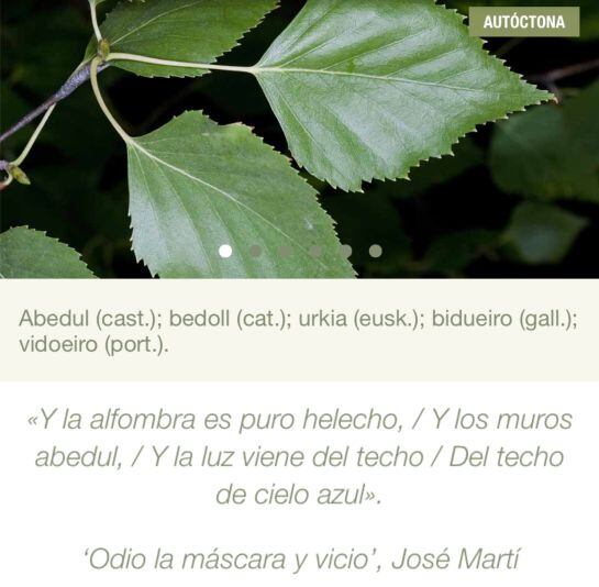 La aplicación Arbolapp