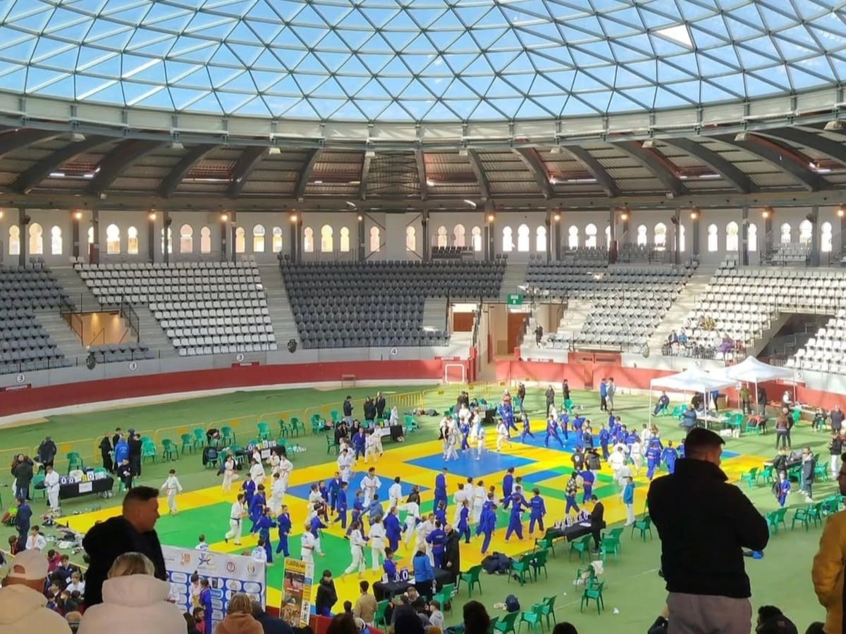 La federación autonómica de Judo felicita al Judo CAMV por la jornada de Copas celebrada en Villena