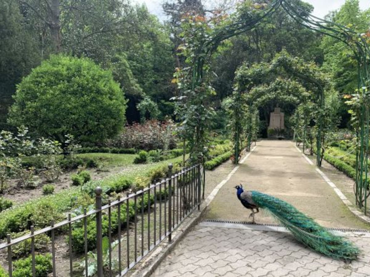 Nómada del viento: Pájaros en la cabeza...y en el lenguaje (21/04/2026)