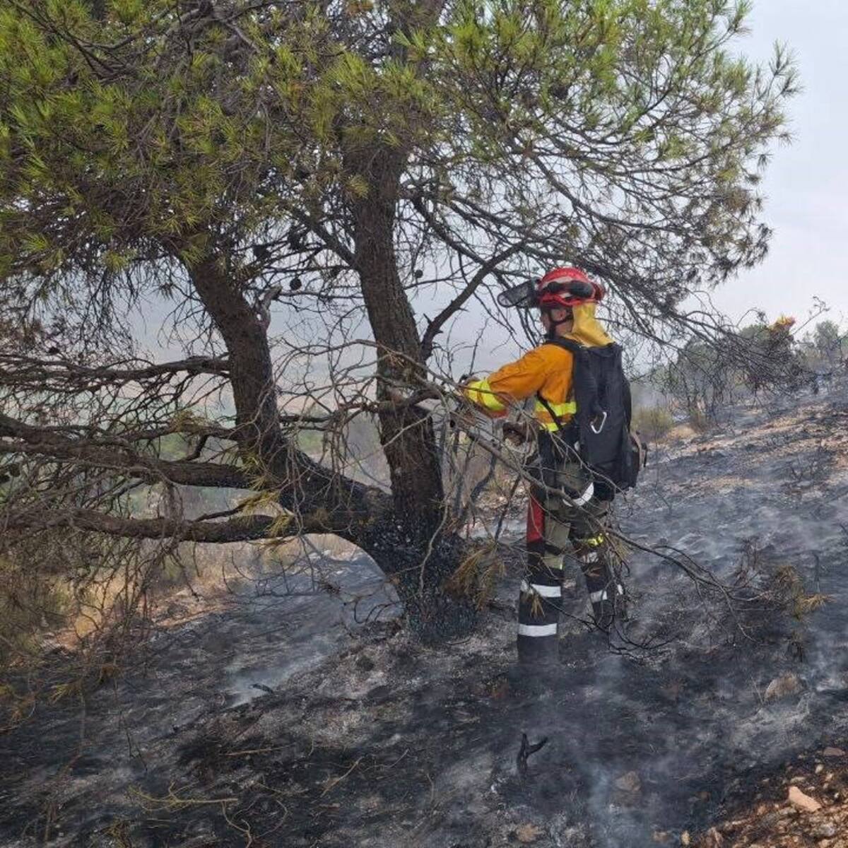 Verano de riesgo en la Región: uno de cada tres incendios fue intencionado y se realizaron 700 rescates en playas