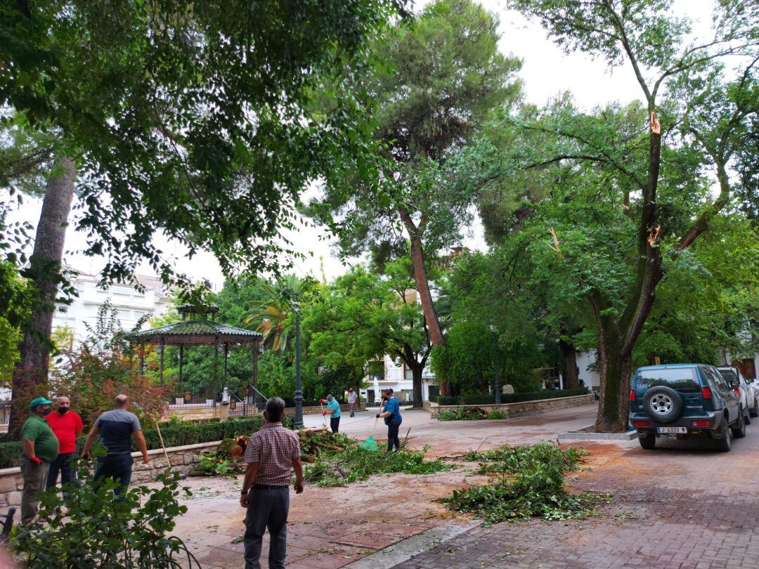 La tormenta ha destrozado mas de 300 árboles en Quesada como en la Plaza del Ayuntamiento