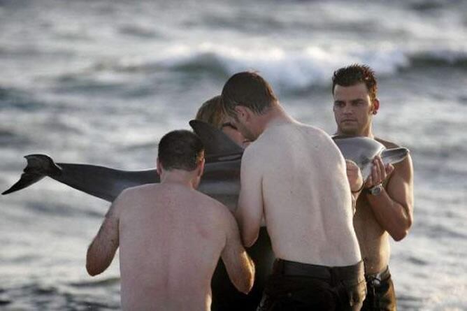 Unos bañistas recogen a un delfín varado en una playa de Almería. EFE/Archivo