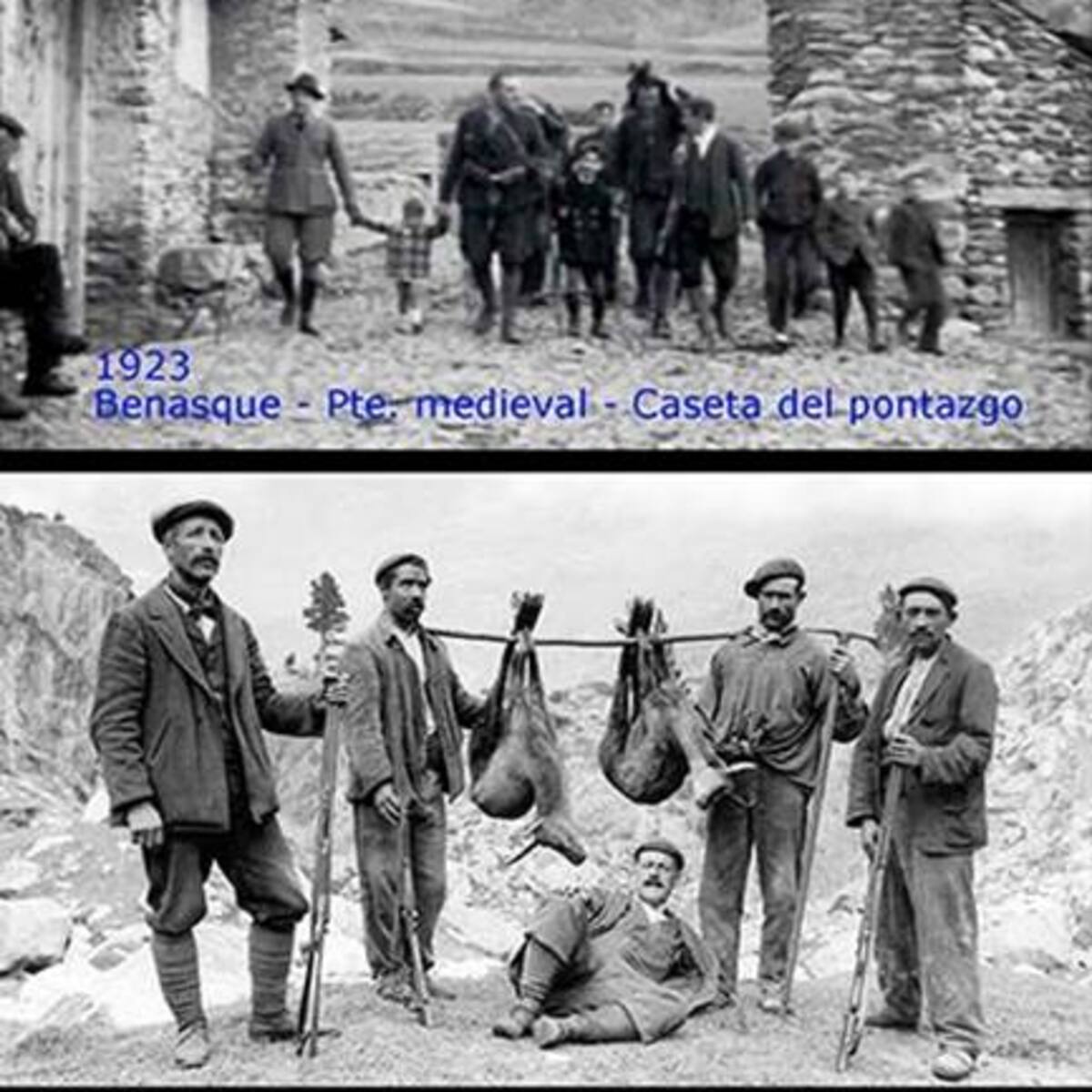 El Ayuntamiento subasta permisos de caza para sarrio y corzo